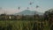 Canggu rice field with Mount Batur volcano in background