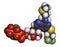 Cangrelor antiplatelet drug molecule. Atoms are represented as spheres with conventional color coding: hydrogen (white), carbon (