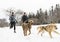 Canicross woman group Sled Dogs Pulling in winter season