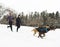 Canicross woman group Sled Dogs Pulling in winter season