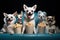 Canine bliss: funny Chihuahuas get ready for a movie marathon,Generative AI