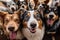 Canine capture Group of dogs takes a cheerful selfie together