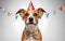 Canine Celebration: Dog in Birthday Party Hat\\\