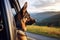 The canine companion, a Shepherd, adds joy to the journey, looking out of the car window with curiosity