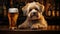 canine dog with beer