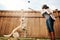 Canine playtime. a young woman playing with her dog outside.