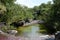 Canio Cristales mountain river. Colombia