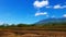 Canlaon Volcano View from Rice Paddies 06