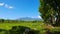 Canlaon Volcano View from Rice Paddies