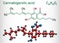 Cannabigerolic acid, CBGA,  molecule. It is cannabinoid, precursor tetrahydrocannabinolic acid THCA, cannabidiolic acid CBDA,