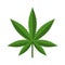 Cannabis leaf icon
