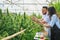 cannabis research Scientists examine and analyze hemp plants. Sign the results with a laptop in the greenhouse. Concept of herbal