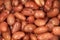 Canned beans red background