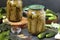 Canned cucumbers in grape leaves in jars on a dark background, Harvest for the winter