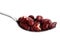 Canned red kidney beans on spoon. Isolated on white.