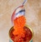 Canned salmon red caviar