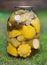 Canned yellow squash