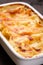 Cannelloni gratin filled with cheese