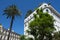 Cannes palm trees and luxury seafront building on French Riviera