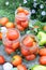 Canning tomatoes at home