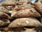 Cannoli Shells, Italian Pastries