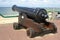 Cannon