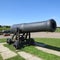 Cannon