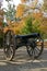 Cannon in Autumn (vertical)