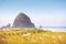 Cannon Beach Oregon landscape of Haystack Rock and grassy beach