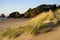 Cannon Beach Sand Dunes