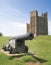 Cannon and castle