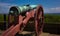 Cannon On the Grounds of  Kronborg Castle