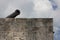 Cannon over the Ramparts