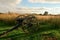 A cannon overlooking field with shadows cast on the ground