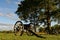 A cannon overlooking field with shadows cast on the ground