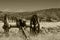 Cannon overlooking Gettysburg battlefield