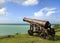 Cannon Overlooking the Ocean