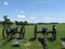 Cannon\'s at Antietam National Civil War Battlefield