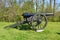 Cannon at Vicksburg