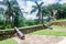 Cannons at fort in Paraty, Brazil