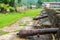 Cannons at Fuerte San Jeronimo fortress in Portobelo village, Pana