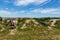 Cannons on the hill at Chinese Palace and Grand Palace in Zolochiv Castle, Ukraine