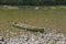 Canoe anchored by river bank