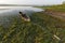 Canoe in Biebrza National Park, Poland