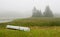 Canoe on inlet in fog