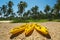 Canoe Kayak boats on sunny tropical beach with palm trees