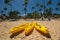 Canoe Kayak boats on sunny tropical beach with palm trees