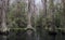 Canoe Kayak trail, Okefenokee Swamp National Wildlife Refuge