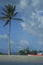 Canoe, palm and beach, Trinidad