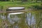 Canoe & Pond (horizontal)